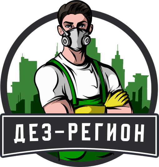 ДЕЗ-Регион